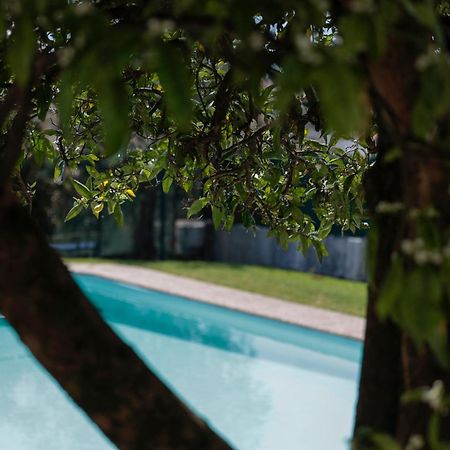 Casa Do Vale -Villa Rio Minho-Seixas-カミーニャ エクステリア 写真