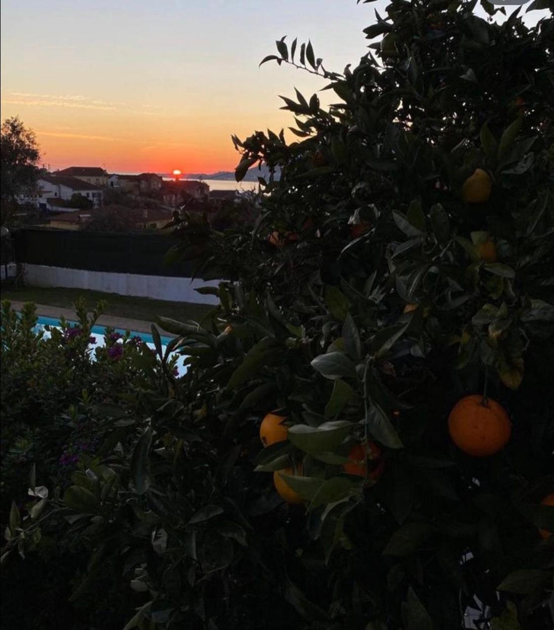 Casa Do Vale -Villa Rio Minho-Seixas-カミーニャ エクステリア 写真
