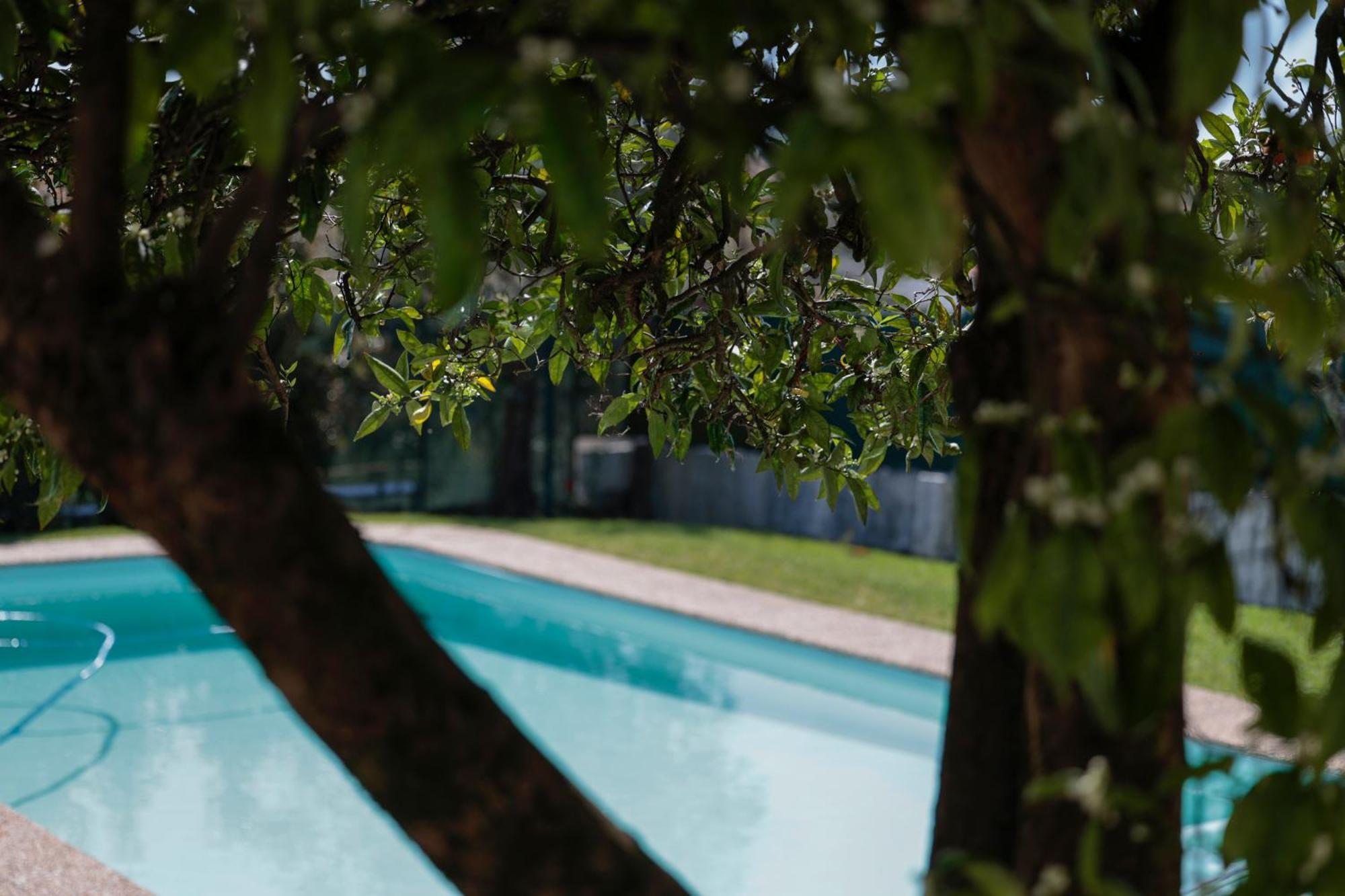 Casa Do Vale -Villa Rio Minho-Seixas-カミーニャ エクステリア 写真